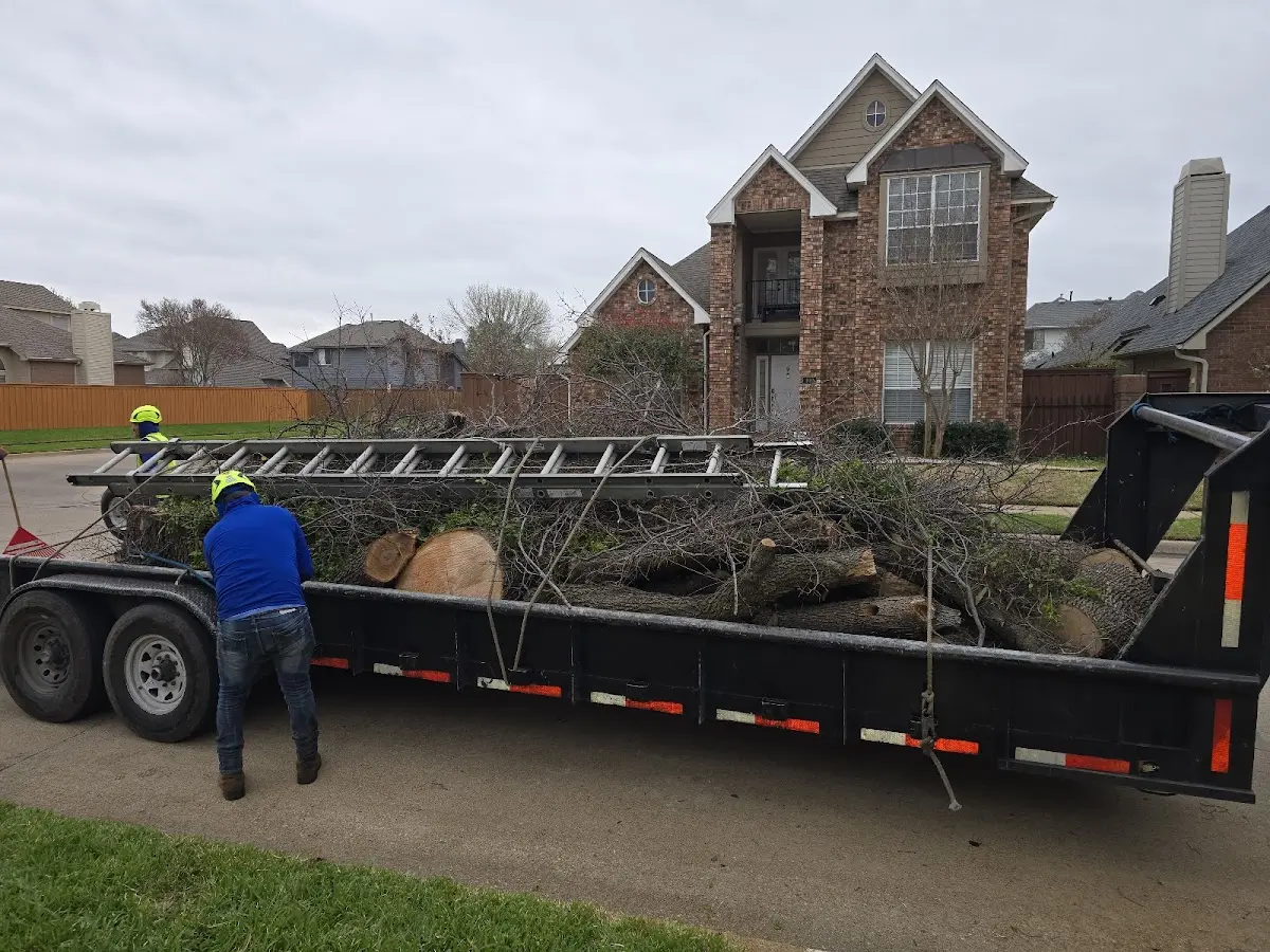 Expert Tree Fertilization with proper safety equipment in Meddybemps